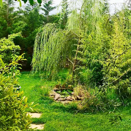 Gudca 4* Tepecik (Dilovasi)