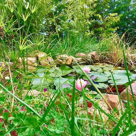 Gudca Hotel Tepecik (Dilovasi)