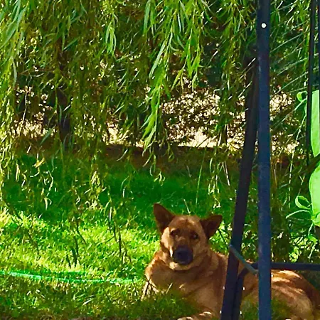 Gudca Tepecik (Dilovasi)