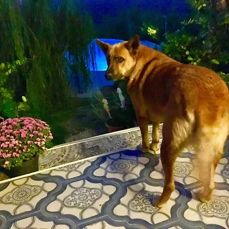 Gudca 4* Tepecik (Dilovasi)